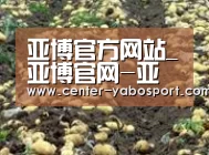 种植基地七