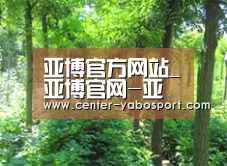 种植基地九