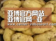 产品展示标题6