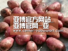 产品展示标题5