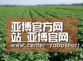 种植基地五