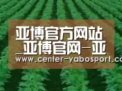 种植基地六