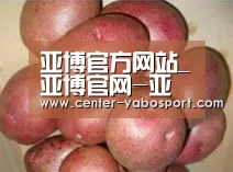 产品展示标题1