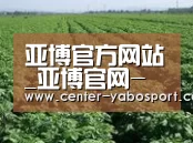 种植基地五(图1)