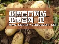 产品展示标题2