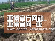 种植基地八