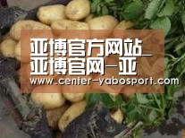 产品展示标题4