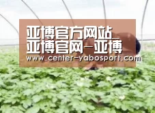 种植基地三