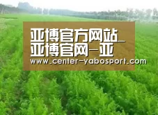 种植基地四