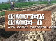 种植基地七(图1)