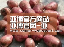 产品展示标题5(图1)