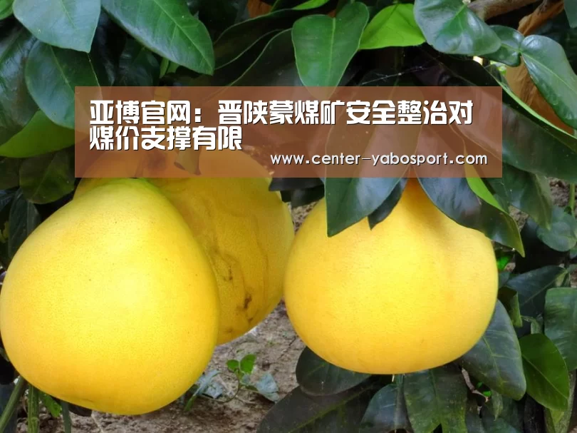 亚博网站